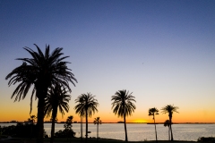 Tampa Drone and Real Estate Photographer | Skyway Property Imaging | Tarpon Springs | Dunedin