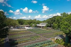 at Buckingham Farm Ft. Myers FL | Tampa Wedding Photographer Joyelan Photography